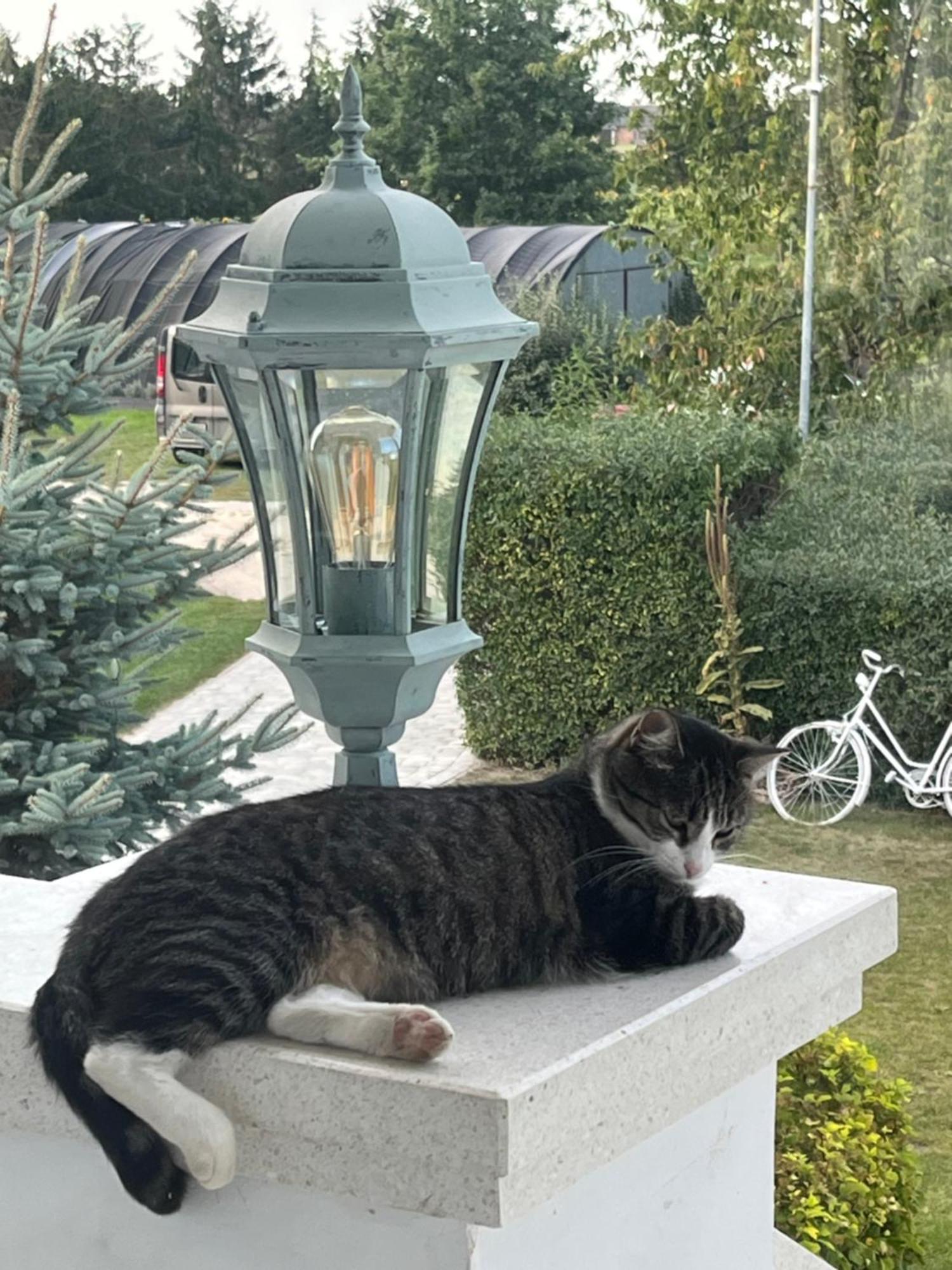 Zielone Zacisze Bed & Breakfast Murzynowo Kościelne Екстериор снимка