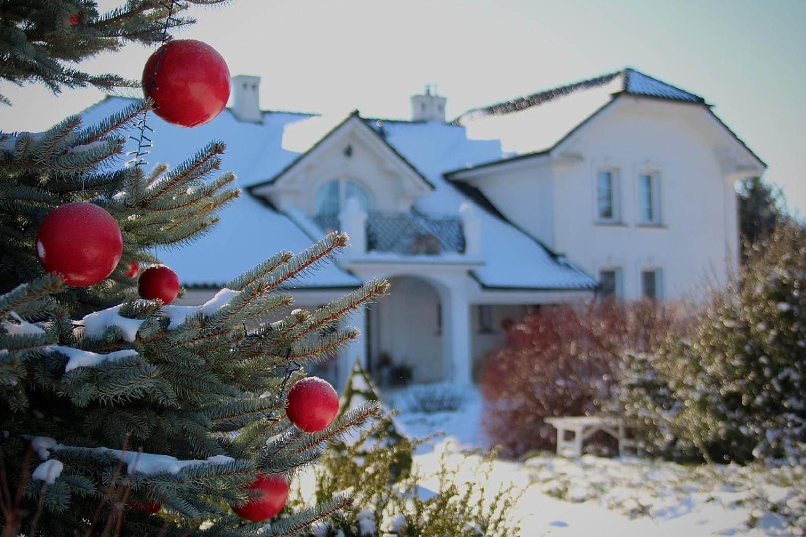 Zielone Zacisze Bed & Breakfast Murzynowo Kościelne Екстериор снимка