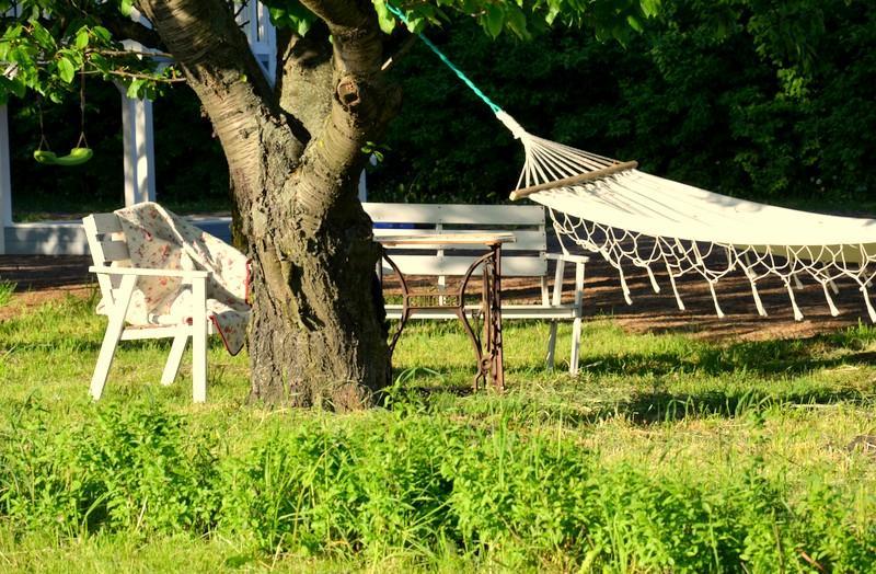Zielone Zacisze Bed & Breakfast Murzynowo Kościelne Екстериор снимка