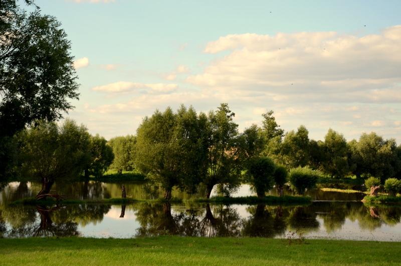 Zielone Zacisze Bed & Breakfast Murzynowo Kościelne Екстериор снимка